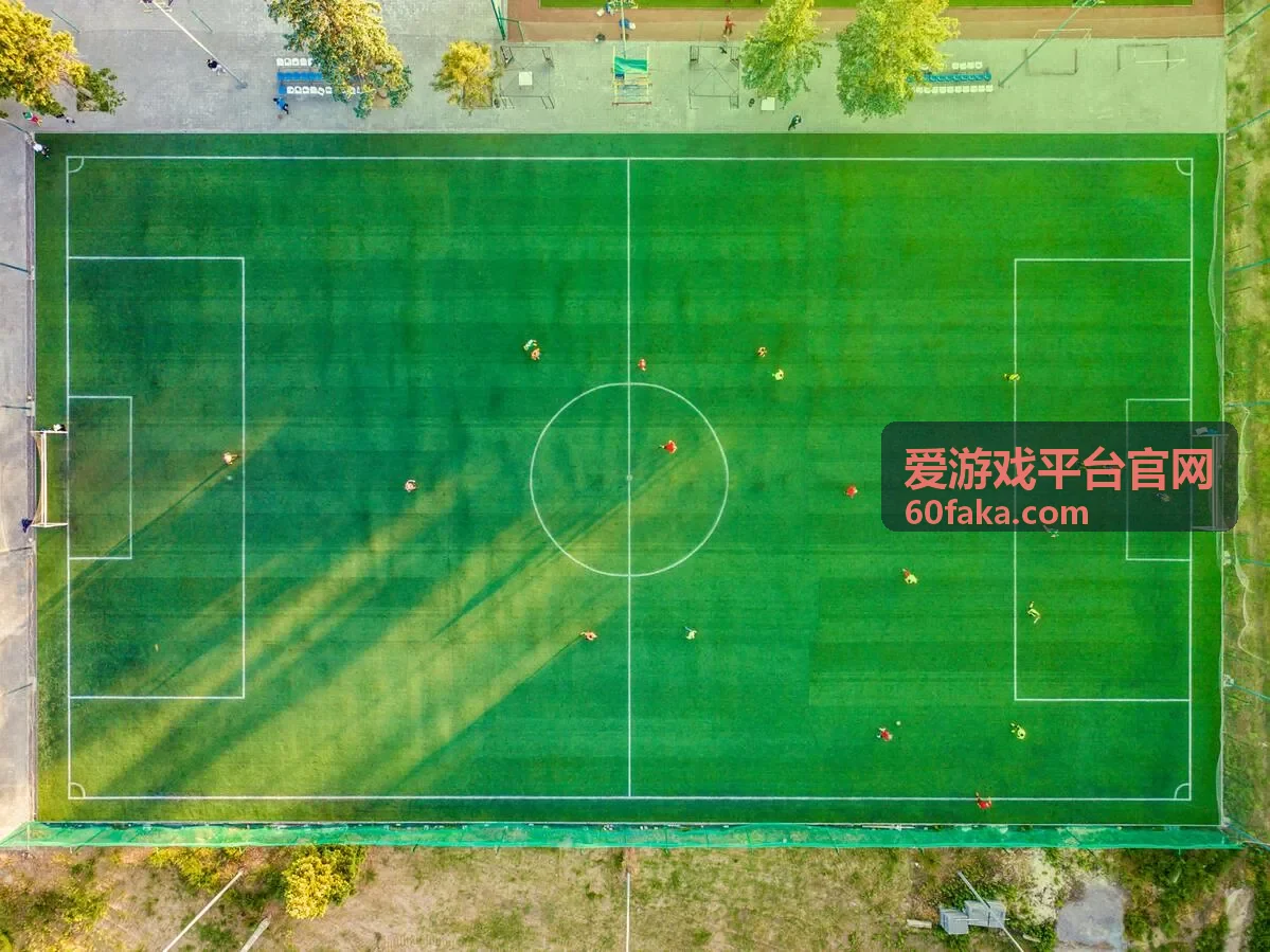爱游戏平台官网功能使用说明入口